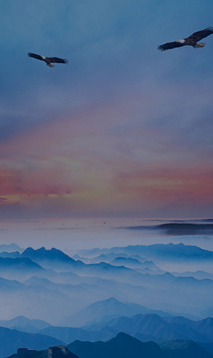 ���S����